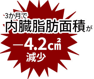 腹部内臓脂肪面積の変化量3か月で
内臓脂肪面積が－4.2㎠減少