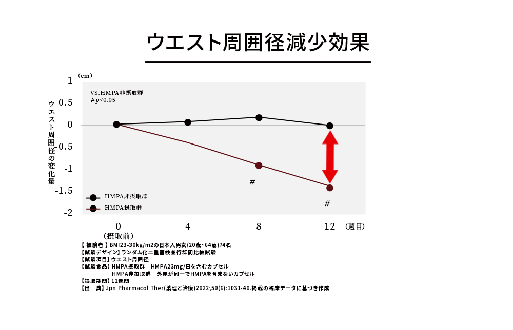 ウエスト周囲径減少効果 3か月でウエスト周囲が－1.4cm減少