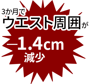 腹部内臓脂肪面積の変化量3か月で
内臓脂肪面積が－4.2㎠減少